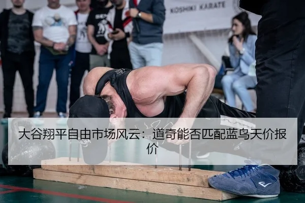 da-gu-xiang-ping-zi-you-shi-chang-feng-yun-dao-qi-neng-fou-pi-pei-lan-niao-tian-jia-bao-jia-2-601.jpg