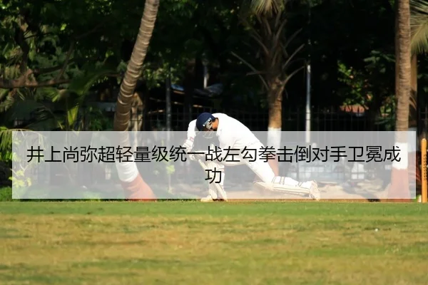 井上尚弥超轻量级统一战左勾拳击倒对手卫冕成功